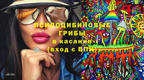 твердый Армянск