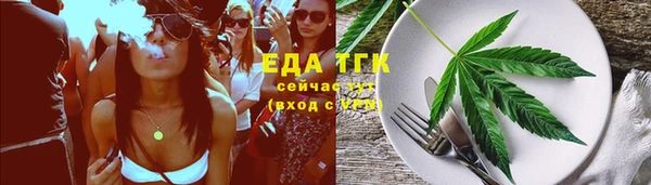 твердый Арсеньев