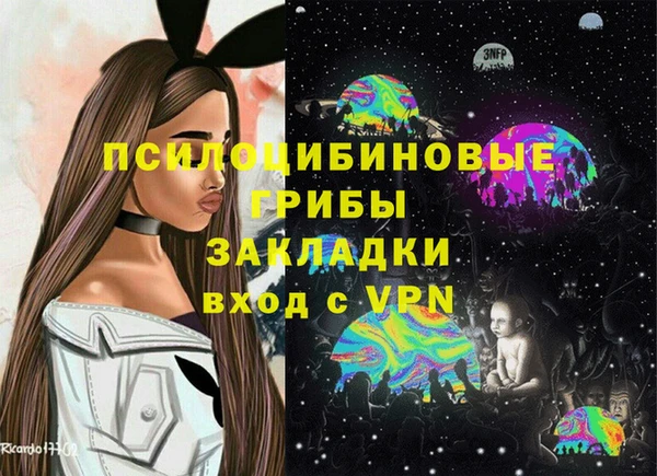 твердый Арсеньев