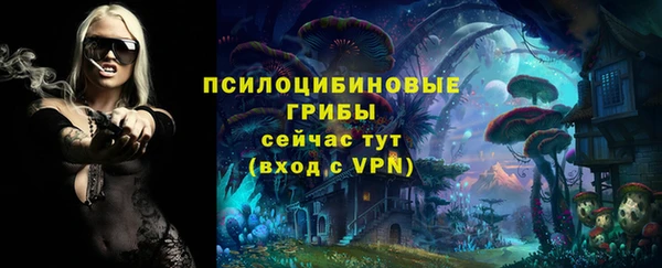 твердый Армянск