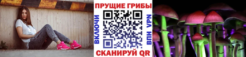 Купить где  Сосновый Бор  Псилоцибиновые грибы Cubensis 